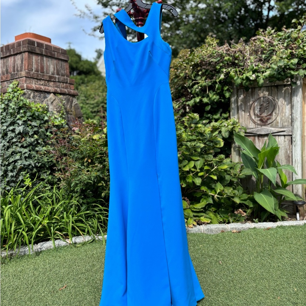 Theia Vibrant Blue Backless Gown